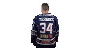 Ice Hockey Sticker by Fehervar AV19