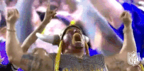 Minnesota Vikings Football GIF by NFL