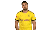 Football Wtf Sticker by Bundesliga