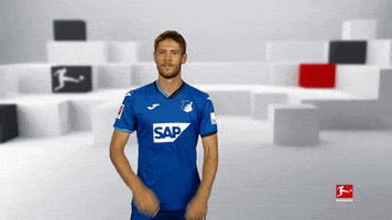 Happy Tsg Hoffenheim GIF by Bundesliga