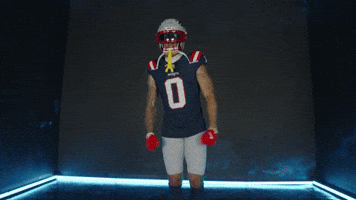 Football Celebration GIF by New England Patriots