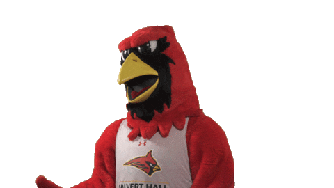 calverthallcollege giphyupload sports disappointed cardinals Sticker