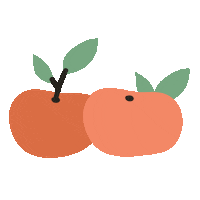 Chinese New Year Orange Sticker by Shop Far East