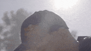 Fun Drifting GIF by DMAX