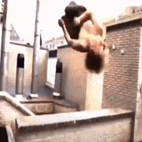 Breaking News Smoking GIF