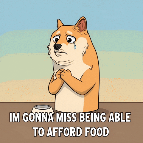 Sad Shiba Inu GIF by Doge Pound