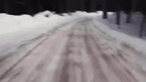 prawn GIF by Topshelf Records