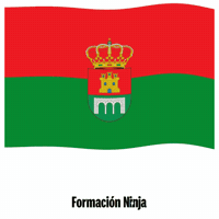 Bandera Malaga GIF by Formación Ninja