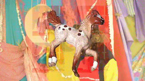 Wanderkid GIF by JW Francis