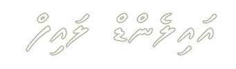Island Life Sticker