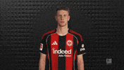 Eintracht Frankfurt GIF by Bundesliga