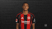 Eintracht Frankfurt GIF by Bundesliga