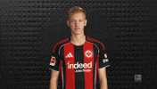 Eintracht Frankfurt GIF by Bundesliga