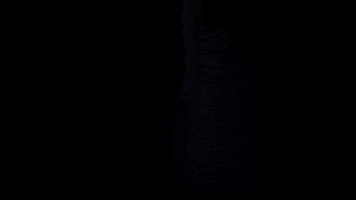 English Study GIF by Evolve Cursos