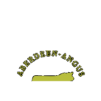 AberdeenAngusCS beef aberdeen angus british beef beef cattle Sticker