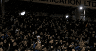 rangersfc GIF by Rangers Football Club