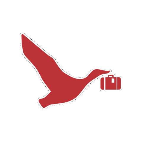 Safebag Sticker by sostravel