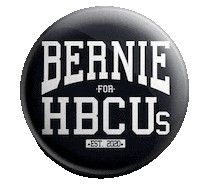 Feel The Bern Bernie 2020 Sticker by Bernie Sanders