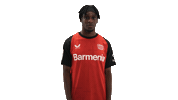 Bayer Leverkusen Wink Sticker by Bundesliga