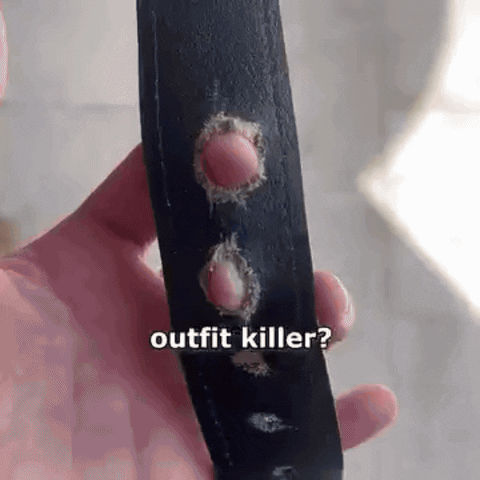 magnetify giphyupload GIF