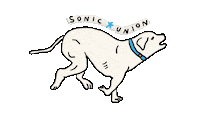 sonicunion sonicunion sonic union Sticker