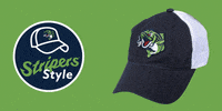 style GIF by Gwinnett Stripers