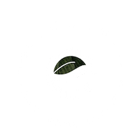 ecoduna  Sticker