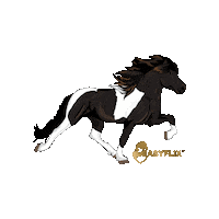 Pony Hast Sticker by Easyflix TV