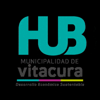 Logo Pink GIF by HUB Vitacura