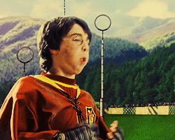 harry potter and the philosophers stone GIF