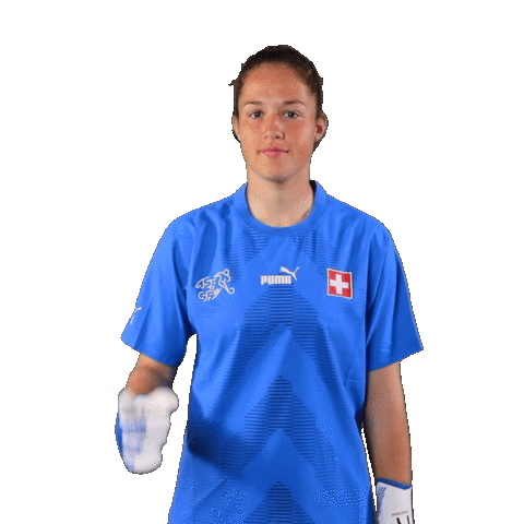 Link Switzerland Sticker by Swiss Football Association