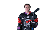 Hokej Sticker by Piráti Chomutov