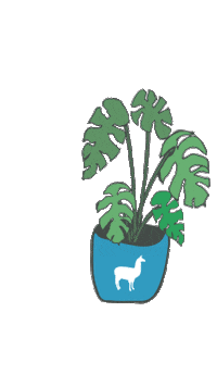 Plant Parent Sticker by Backyard Beans Coffee Co.