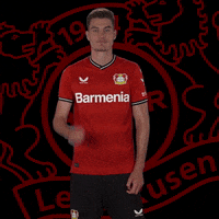 Understand I Know GIF by Bayer 04 Leverkusen