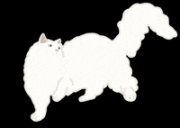 Cat Meow GIF by Nathalie Lambinet