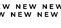 Newin Availablenow Sticker by Belart