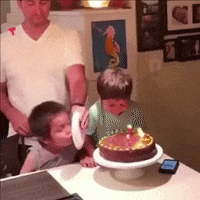 Happy Birthday Lol GIF by Piñata Farms: The Meme App