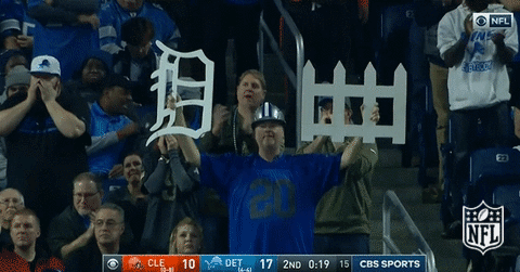 football GIF by NFL