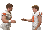 Cnfb Sticker by Carson-Newman Athletics