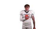 Cnfb Sticker by Carson-Newman Athletics