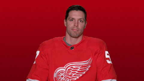 Red Wings Sport GIF by Detroit Red Wings