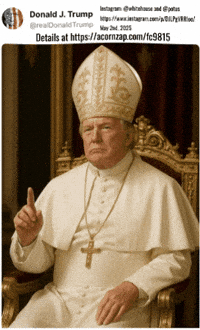 Donald Trump GIF by Collect Questions