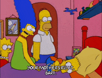 homer simpson GIF