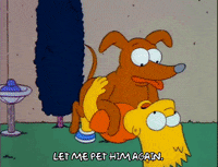 Season 3 Pet GIF by The Simpsons