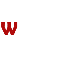 Wow Sticker