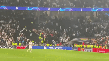 Ugly Scenes in Stands Mar Spurs' Winning Return to Champions League