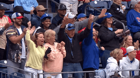 Happy Blue Jays GIF by Toronto Blue Jays