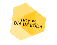 Boda Sticker by SparkVisuals
