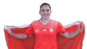Flag Switzerland Sticker by Swiss Football Association
