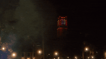 Gator Nation spooky season